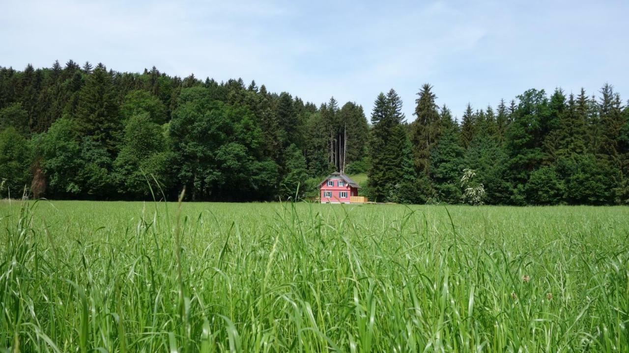 Erwins Ferien-Paradies Hörbranz エクステリア 写真